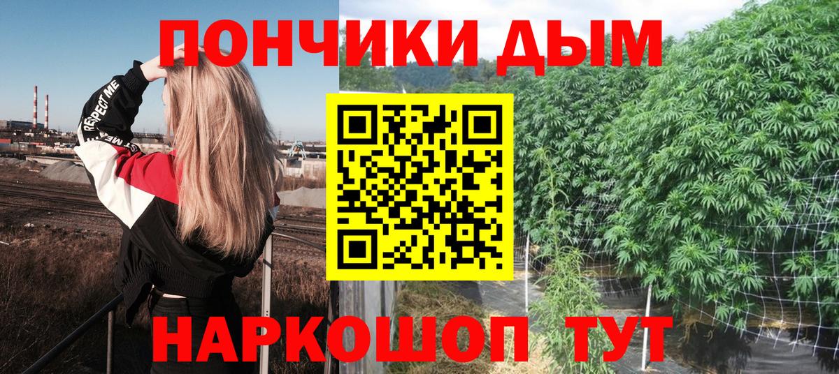 Шишки марихуана Amnesia Асино